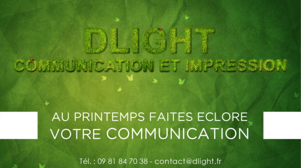 printemps 2015 Dlight Agence de communication 06