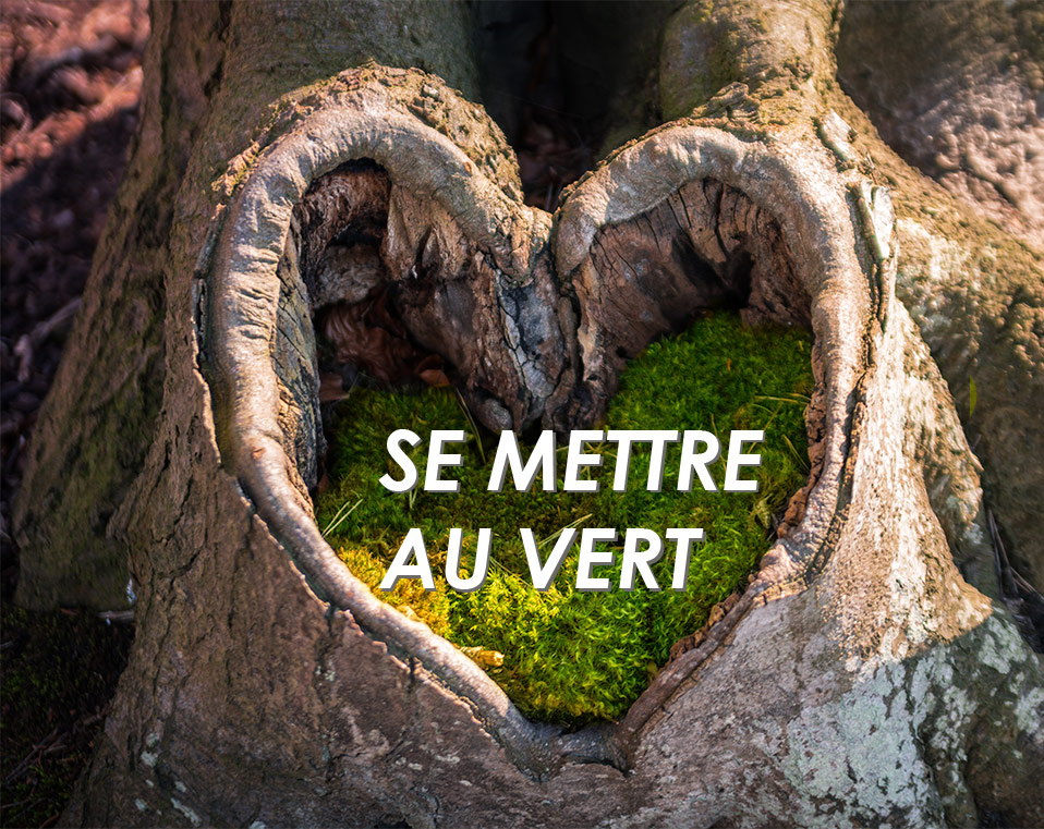Image d'un creux dans un tronc d'arbre recouvert de mousse avec un texte lisible par dessus : Se mettre au vert
