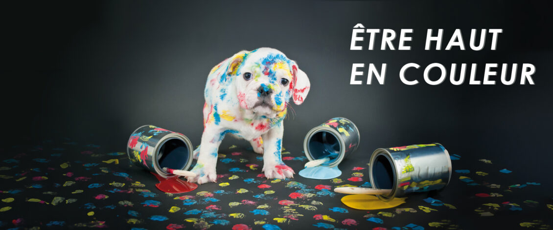 Chiot blanc avec des tâches de peinture colorée, des seaux de peinture renversés à ses pattes, avec le texte : être haut en couleur