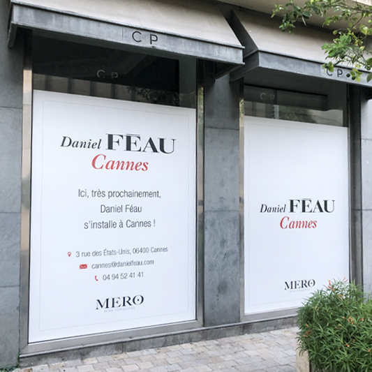 Daniel FEAU